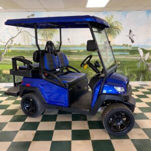 Hydro Bintelli Beyond 2.0 Li 4 Passenger