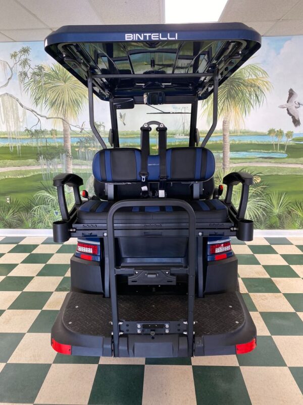 Hydro Bintelli Beyond 2.0 Li 4 Passenger - Image 4