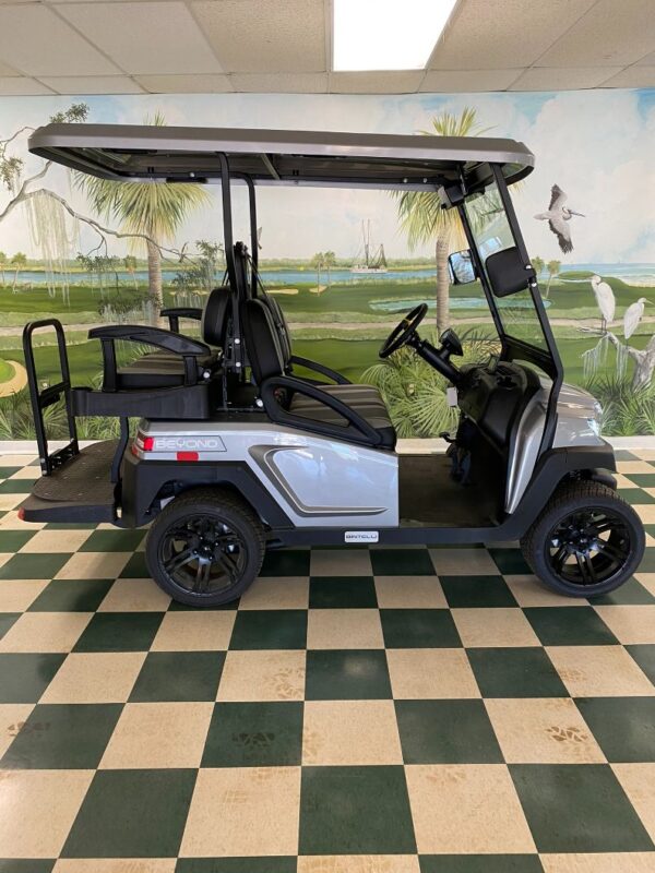 Titanium Bintelli Beyond 2.0 4 Passenger - Image 4