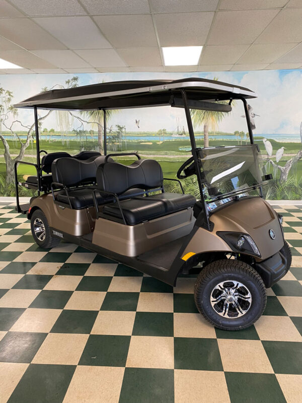 Titanium Bintelli Beyond 2.0 4 Passenger - Image 3