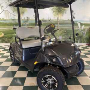 2025 Yamaha Drive 2 Powertech Li Carbon