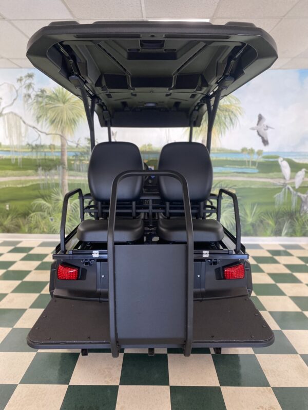 2025 YAMAHA UMAX RALLY 2+2 CARBON METALLIC - Image 4