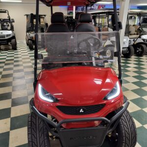 2025 ACTIVEV PULSE 4