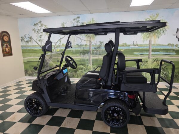 AX2 SIERRA CART - Image 4